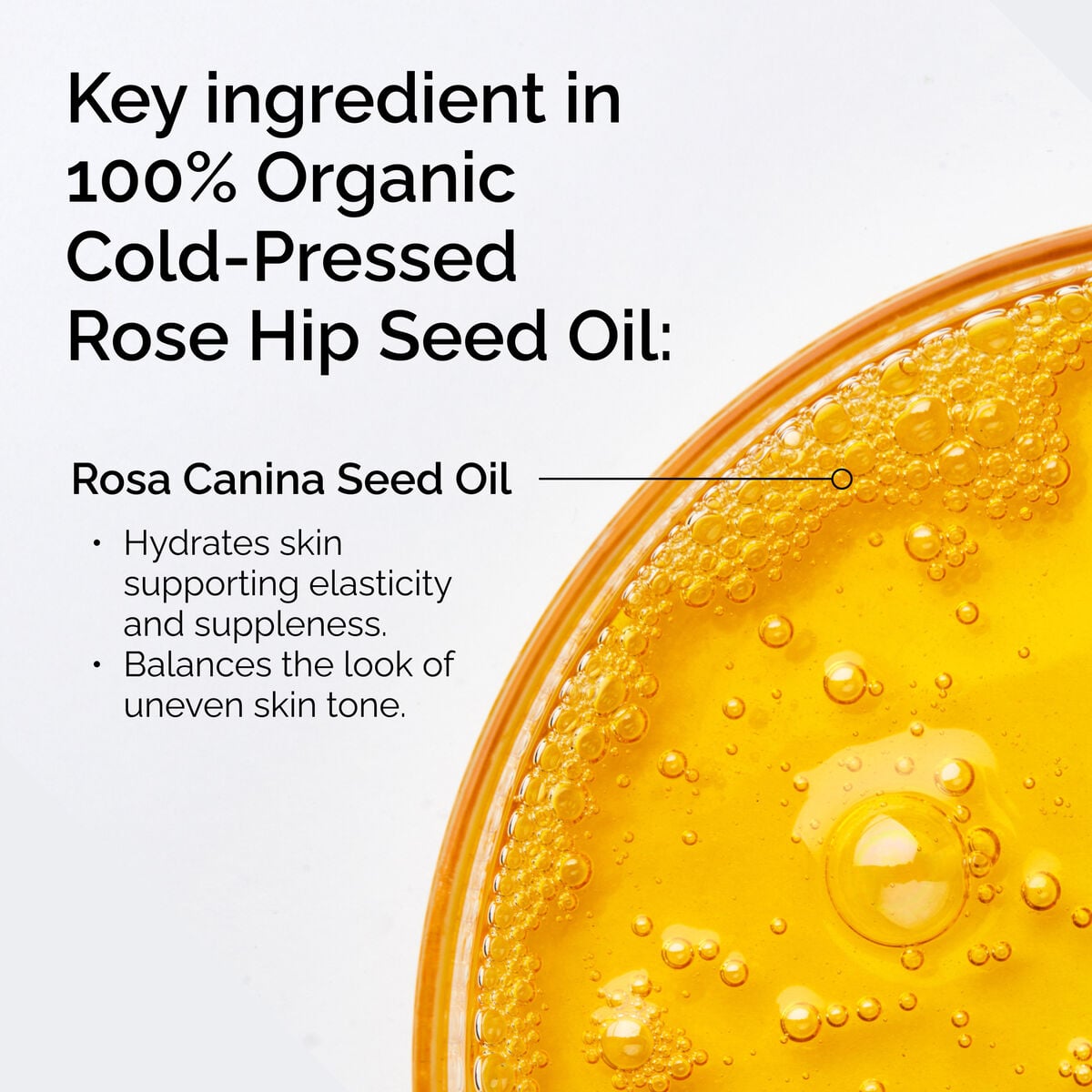 100-organic-cold-pressed-rose-hip-seed-oil-z4 FY25-D41247-ORD-Web-PDP-100-Rose-Hip-Oil-1x1-EN-2.jpg