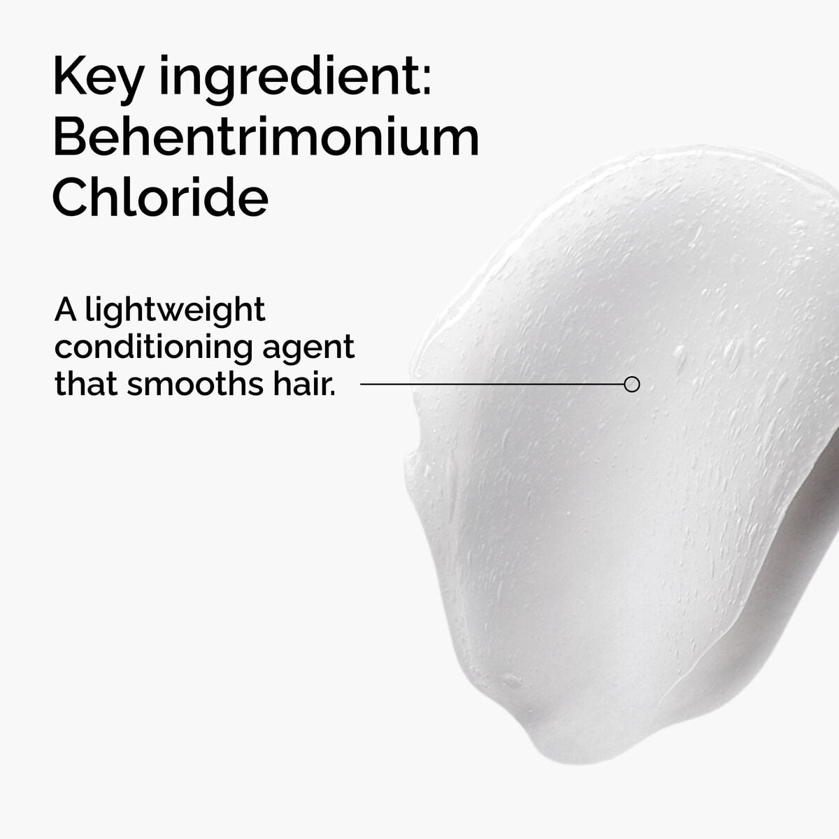 behentrimonium-chloride-2-conditioner-r3 FY25-D41247-ORD-Web-PDP-BTC-1x1-EN-2a.jpg