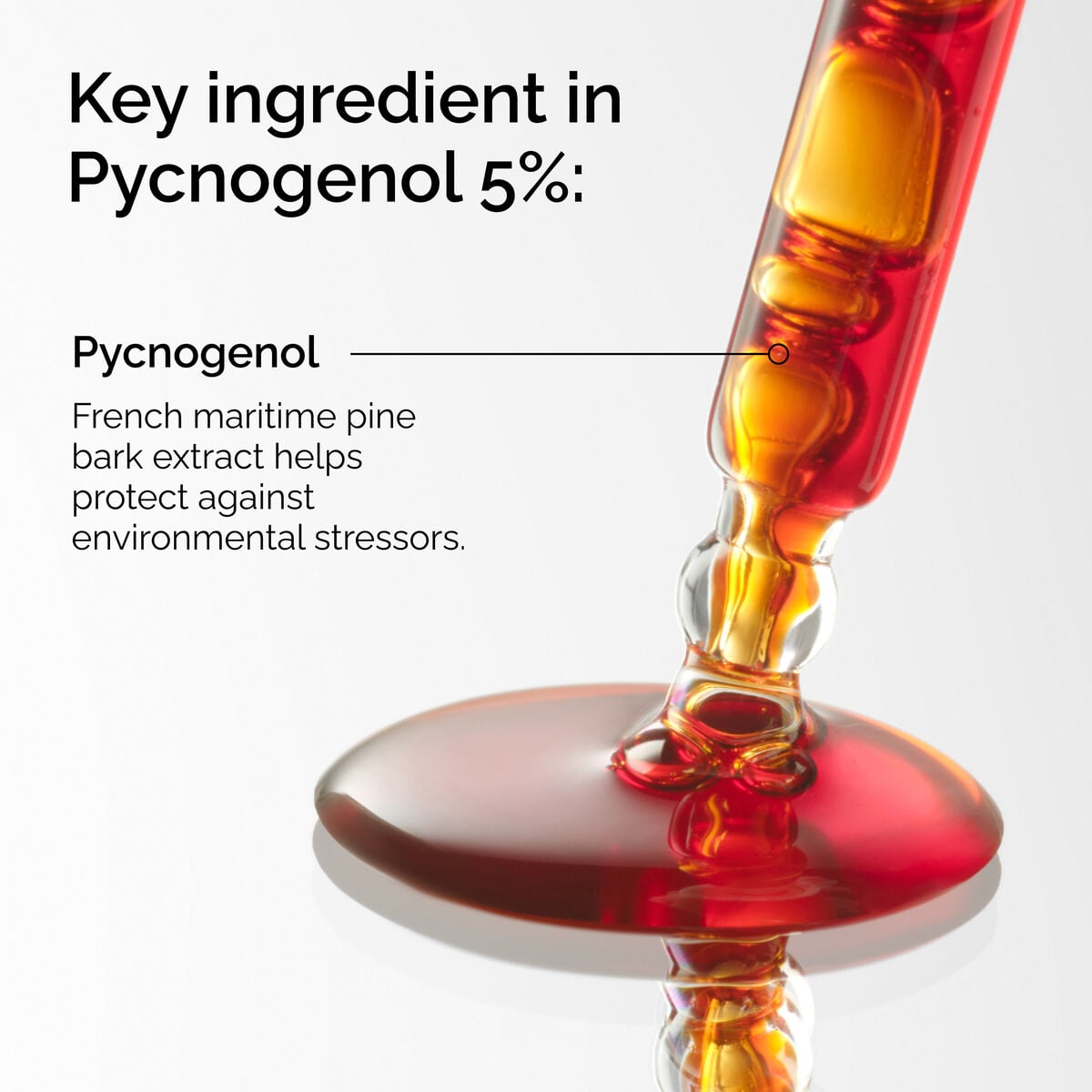pycnogenol-5-a9 FY25-D41247-ORD-Web-PDP-Pyc-5pct-1x1-EN-2a.jpg