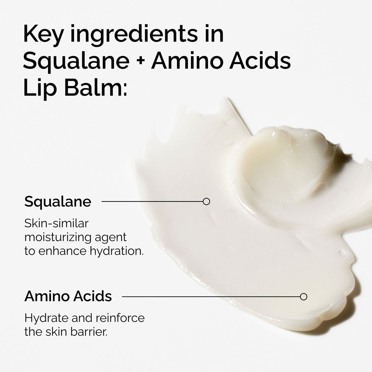 squalane-amino-acids-lip-balm-r1 FY25-D41247-ORD-Web-PDP-Sql-Amino-Lip-1x1-EN-2a.jpg