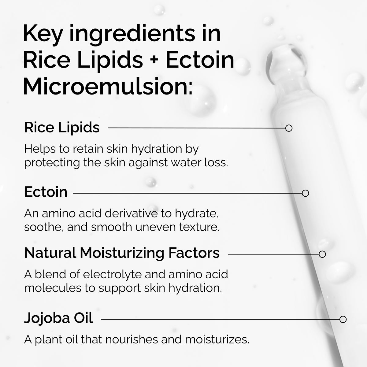 rice-lipids-ectoin-microemulsion-p3 ord-rice-lipids-ectoin-microemulsion-key-ingredients.png