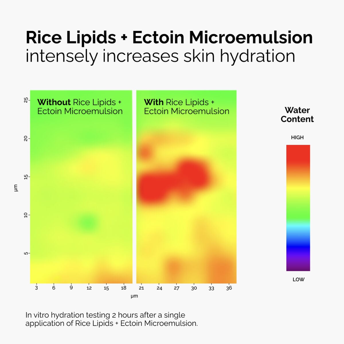 rice-lipids-ectoin-microemulsion-p3 ord-rice-lipids-ectoin-microemulsion-thermal-before-after.jpg